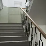 Vitrum *